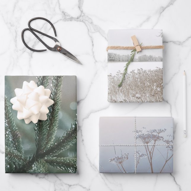 Winter nature, set of 3 different art photos wrapping paper sheet (Front)