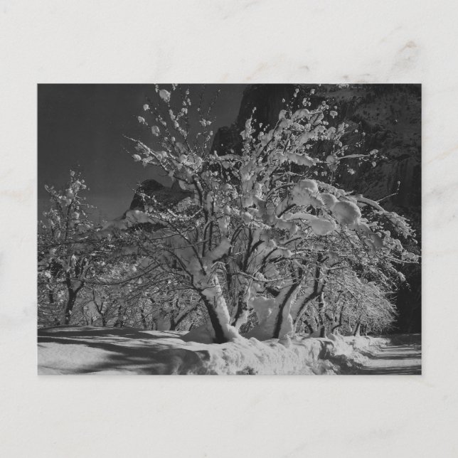 Winter Night Time Postcard (Front)