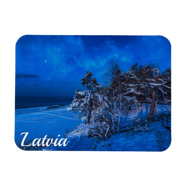 Winter night with snow covered pines in Latvia Magnet (Horizontal)