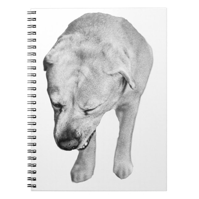 Winter Notes with Shaded Lab Muse Notebook (Front)