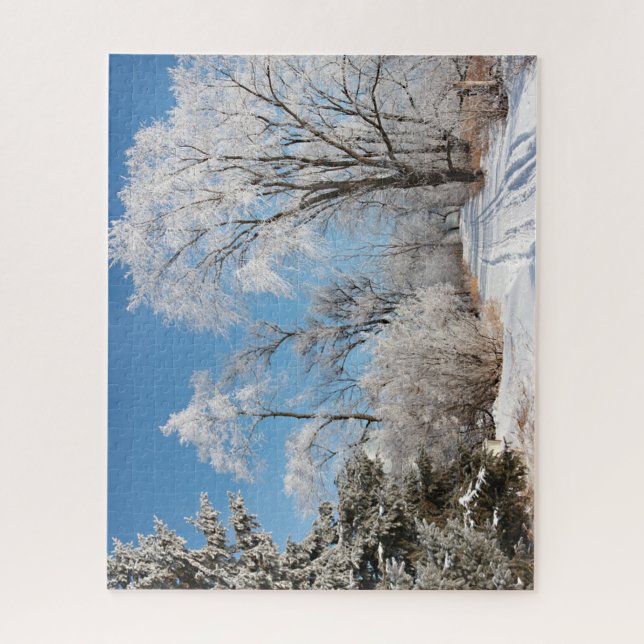 Winter on the Luce Line State Trail puzzle (Vertical)