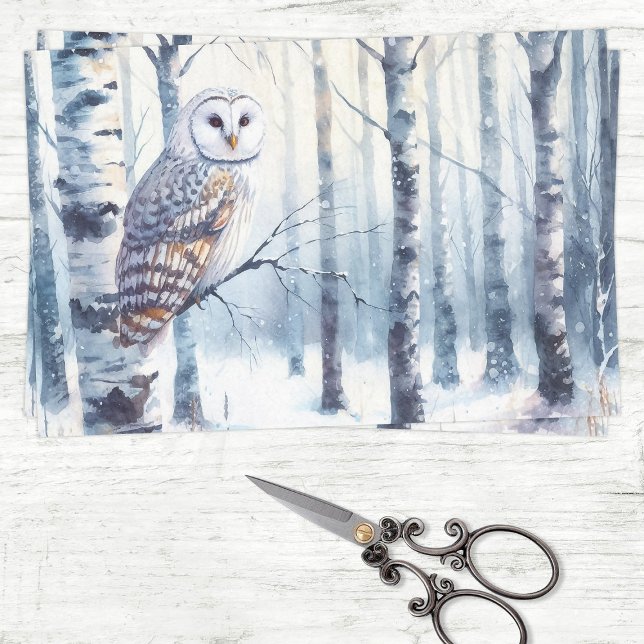 Winter Owl Birch Tree Forest Decoupage Tissue Paper (Creator Uploaded)