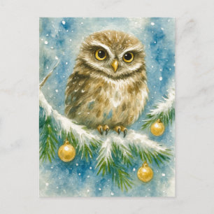 Winter Owl on Snowy Branch Christmas Postcard