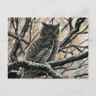 Winter Owl Postcard