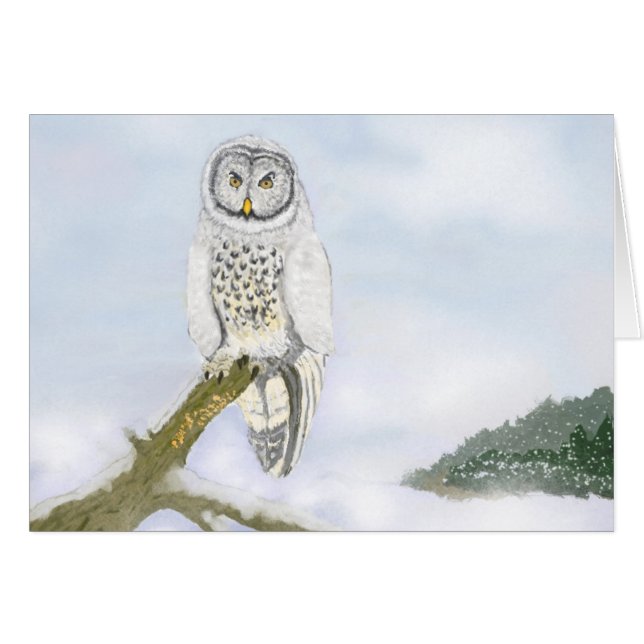 Winter Owl Scene card (Front Horizontal)