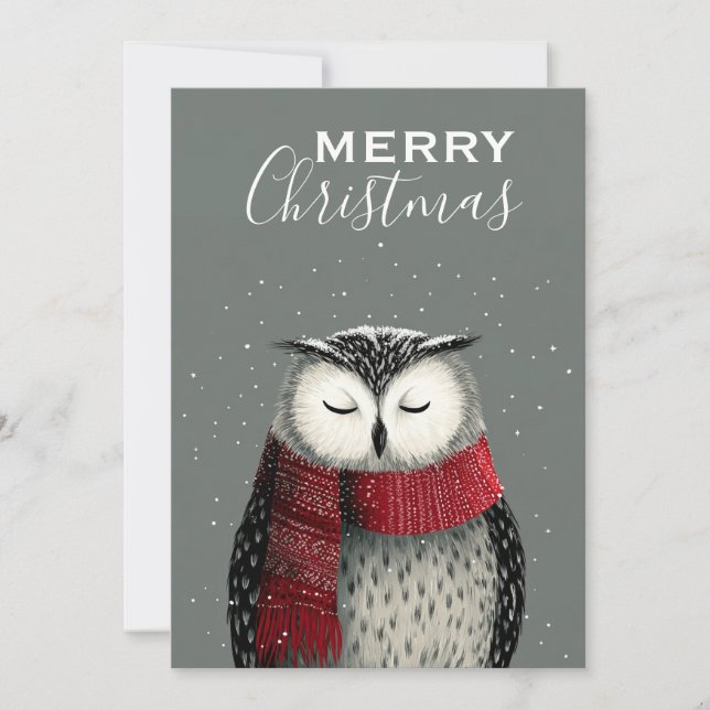 Winter Owl Serenity Christmas Holiday Card (Front)