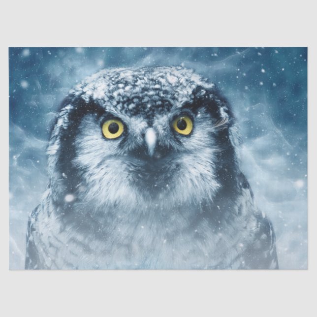 winter owl tissue paper (Front)