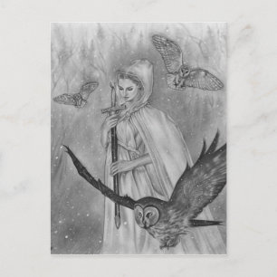 Winter owls  Lady Postcard Card