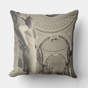 Winter Palace and Hermitage Museum Cushion