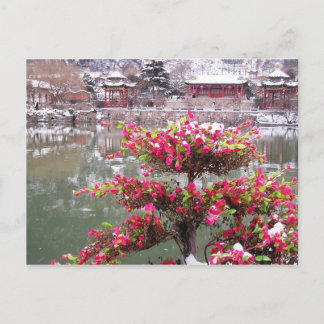Winter Palace Flowers Postcard