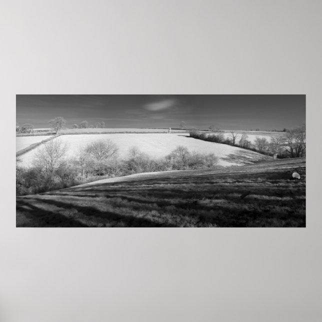 Winter Panorama Poster (Front)