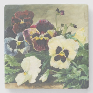 Winter Pansies, 1884 Stone Coaster