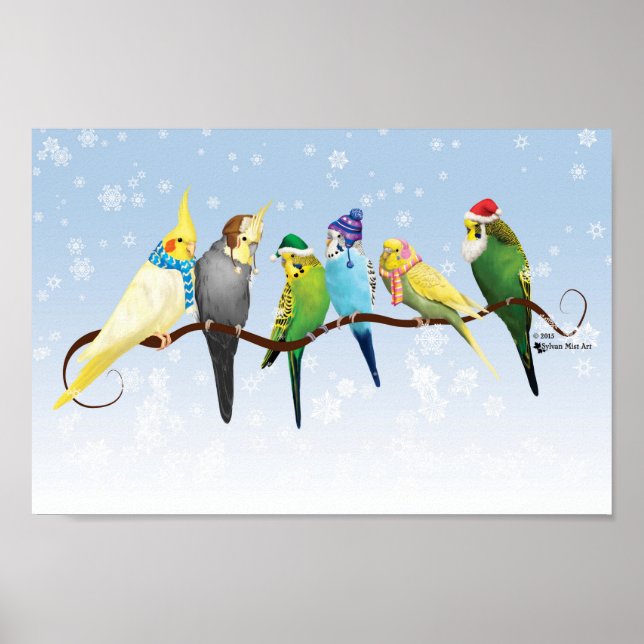 Winter Parakeets & Cockatiels Poster (Front)