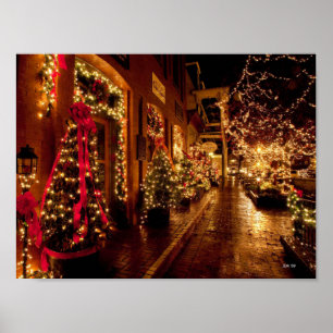 winter park, florida poster