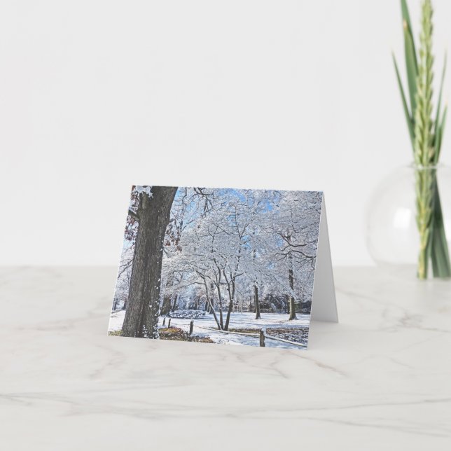 "WINTER PARK SCENE/FIRST SNOWFALL" CARD (Front)