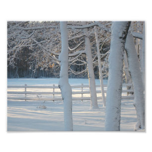 Winter Pasture Photo Print