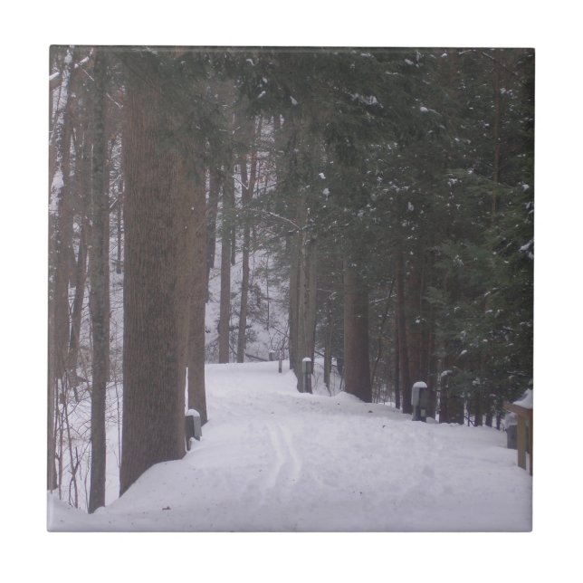 "Winter Path" Ceramic Tile (Front)