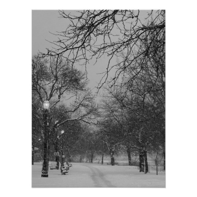 Winter Path Poster (Front)