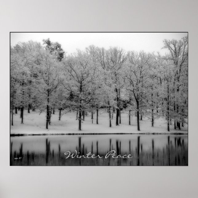 Winter Peace Poster (Front)