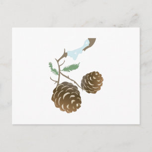 Winter Pine Cone Postcard