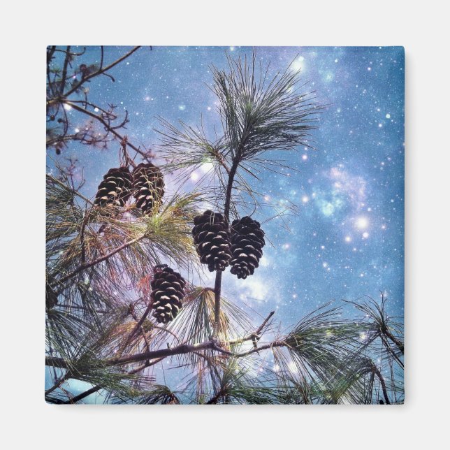 Winter Pine Cones under a starry night sky Magnet (Front)