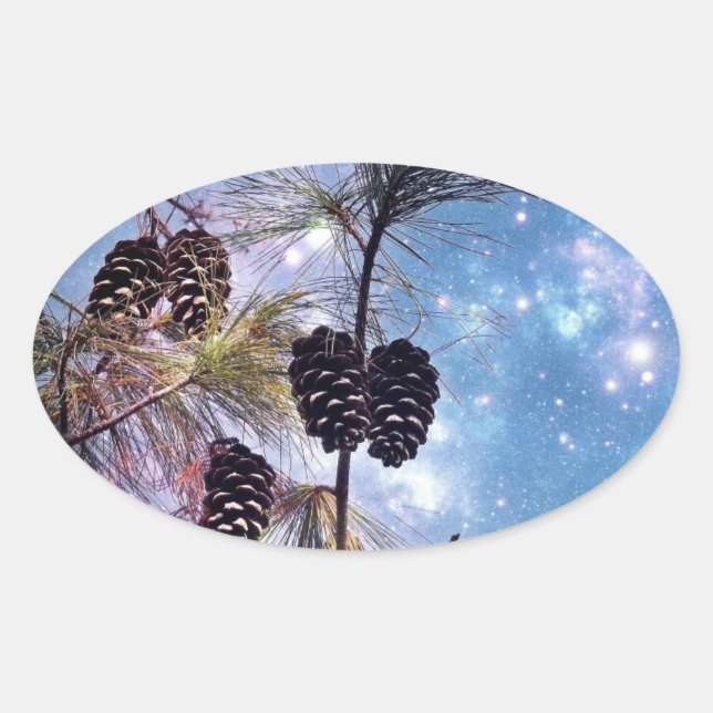 Winter Pine Cones under a starry night sky Oval Sticker (Front)