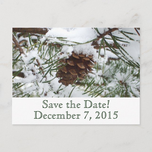 Winter Pine Save the Date Postcard (Front)
