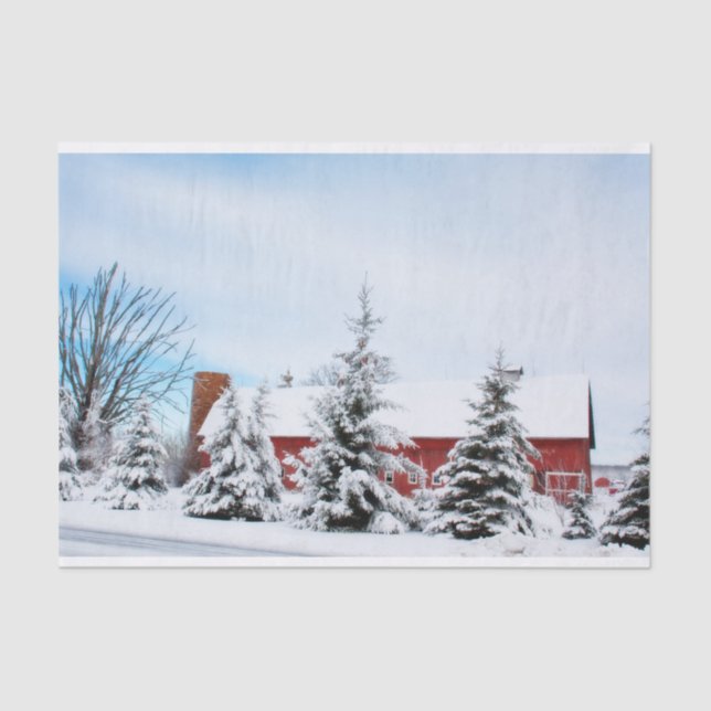 Winter Pine Trees Protecting a Large Red Barn Tissue Paper (Front)