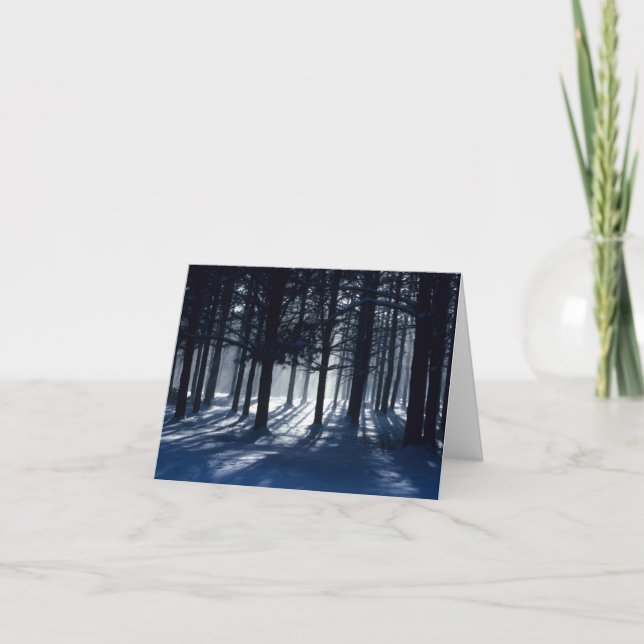 WINTER: Pines in snow Holiday Card (Front)