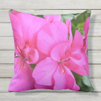 Winter Pink Cushion