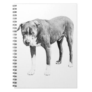 Winter Plans Pit Bull Notebook