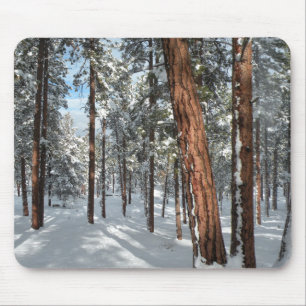 Winter Ponderosa Mouse Pad