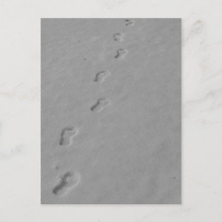 Winter Postcard! Postcard