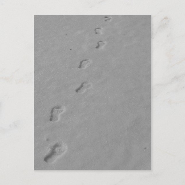 Winter Postcard! Postcard (Front)