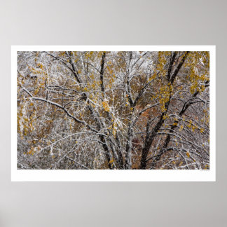 Winter Poster