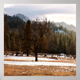 Winter....... Poster