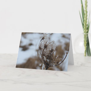 Winter Queen Anne's Lace Card