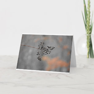 Winter Rain, card