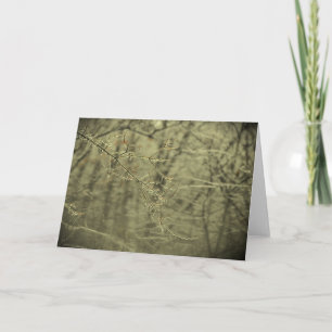 Winter Rain, card