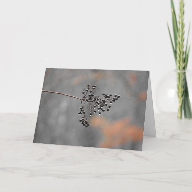 Winter Rain, card (Front)