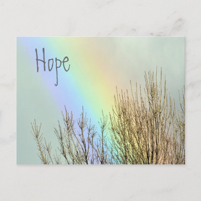 Winter Rainbow Hope Postcard (Front)
