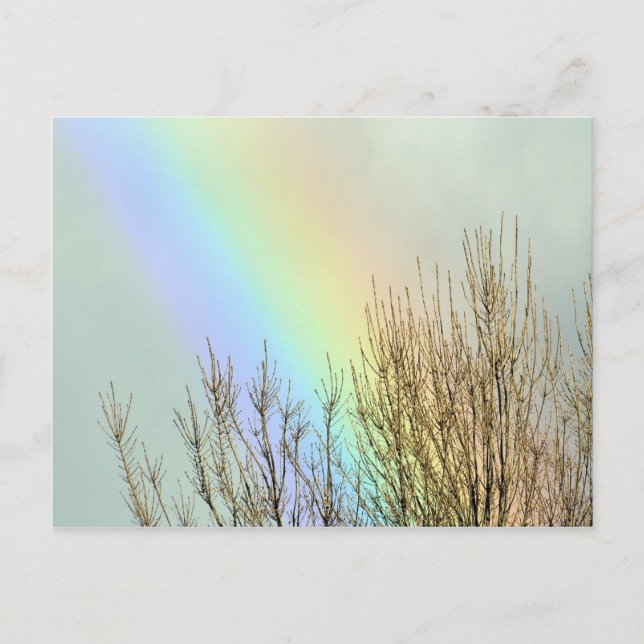 Winter Rainbow Postcard (Front)