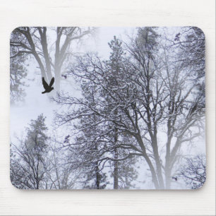 Winter Raven... Mouse Pad