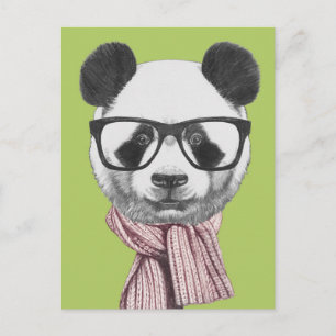 Winter Ready Panda Bear Postcard