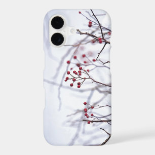 Winter Red Berries White Snow