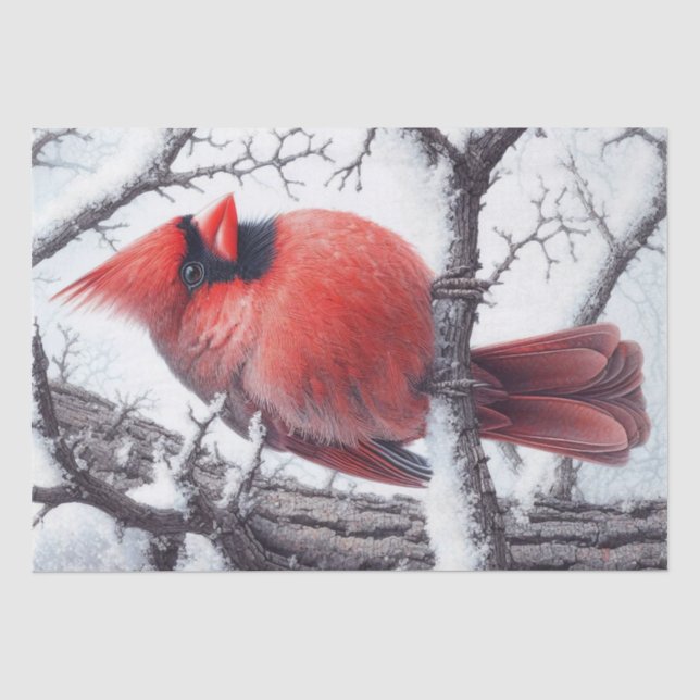 Winter Red Cardinal Bird Tissue Paper (Front)