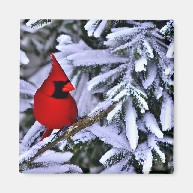 Winter Red Cardinal Magnet (Front)