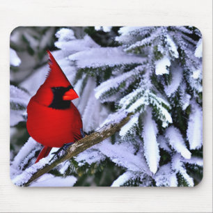 Winter Red Cardinal Mouse Pad