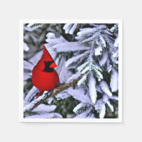 Winter Red Cardinal