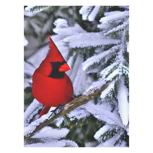 Winter Red Cardinal Tablecloth (Front)